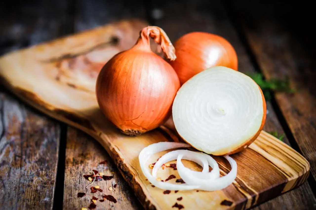 Vuoi un raccolto di cipolle abbondante a giugno? Ecco il consiglio dell’agronomo per la semina perfetta Vuoi un raccolto di cipolle abbondante a giugno? Ecco il consiglio dell’agronomo per la semina perfetta